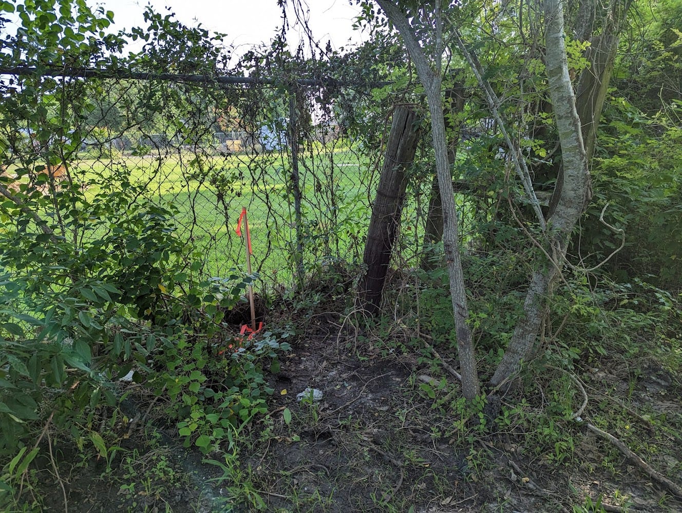 Tricon Land Surveying