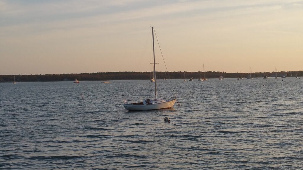 Daniel Briggs Marine Surveyor