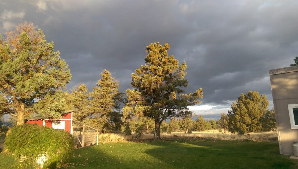 State of Jefferson Land Surveying