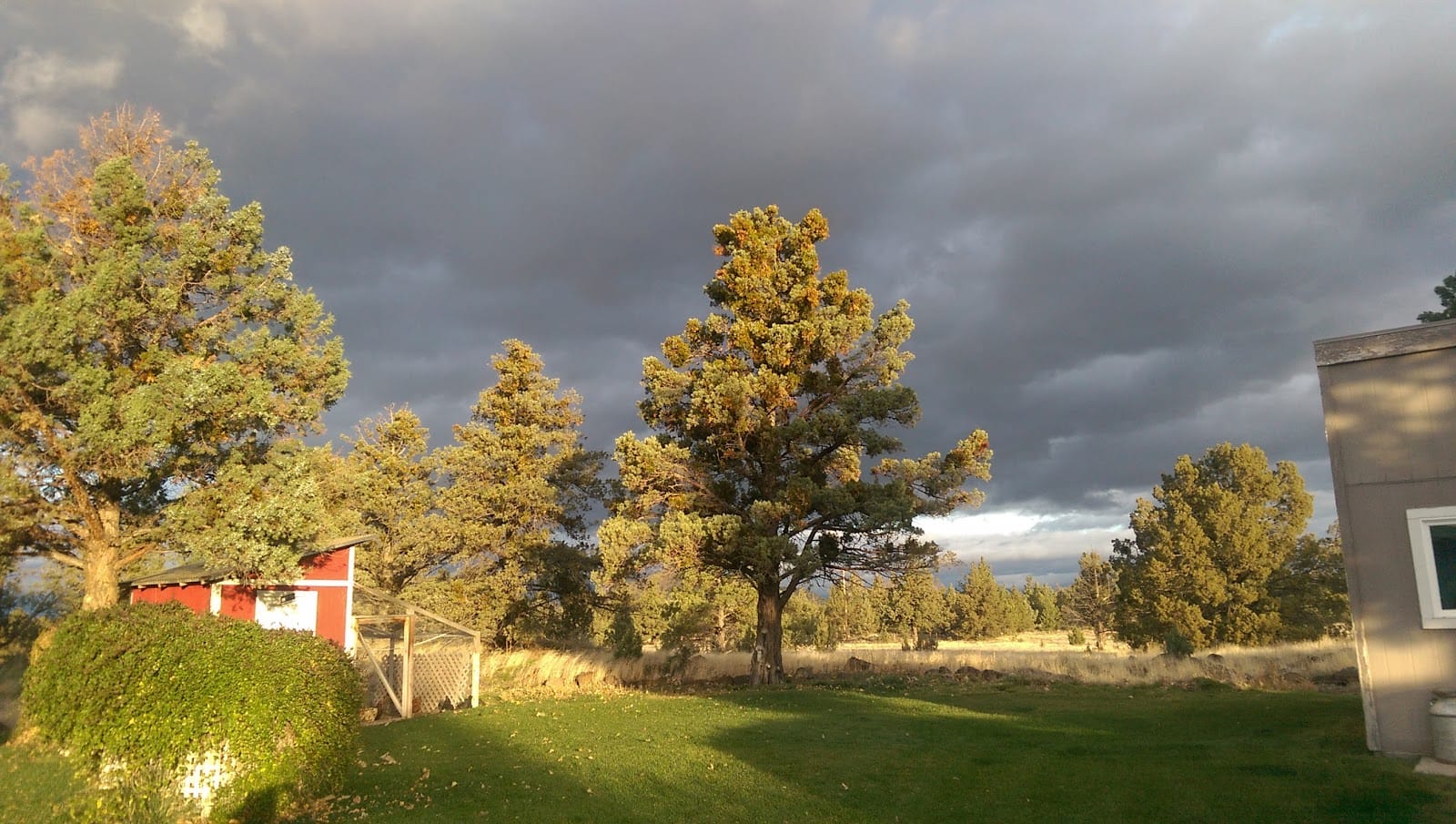 State of Jefferson Land Surveying