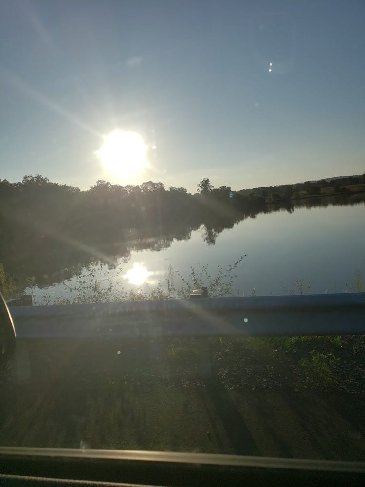 Stout Tacconelli & Associates Inc