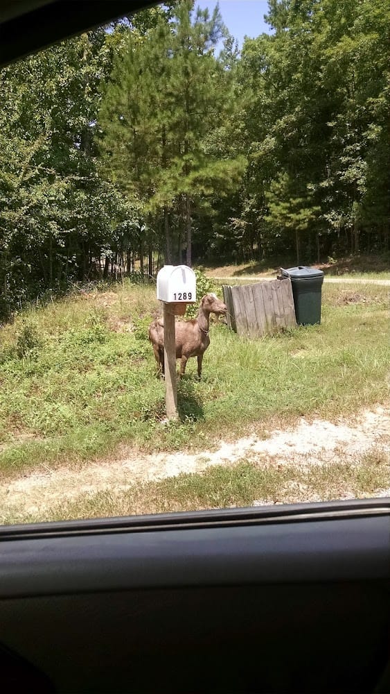 De Aryan Land Surveying