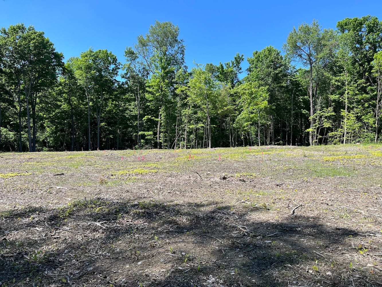 Crabbs’ Surveying Services