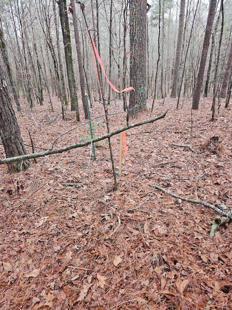 Rasburry Surveying Llc