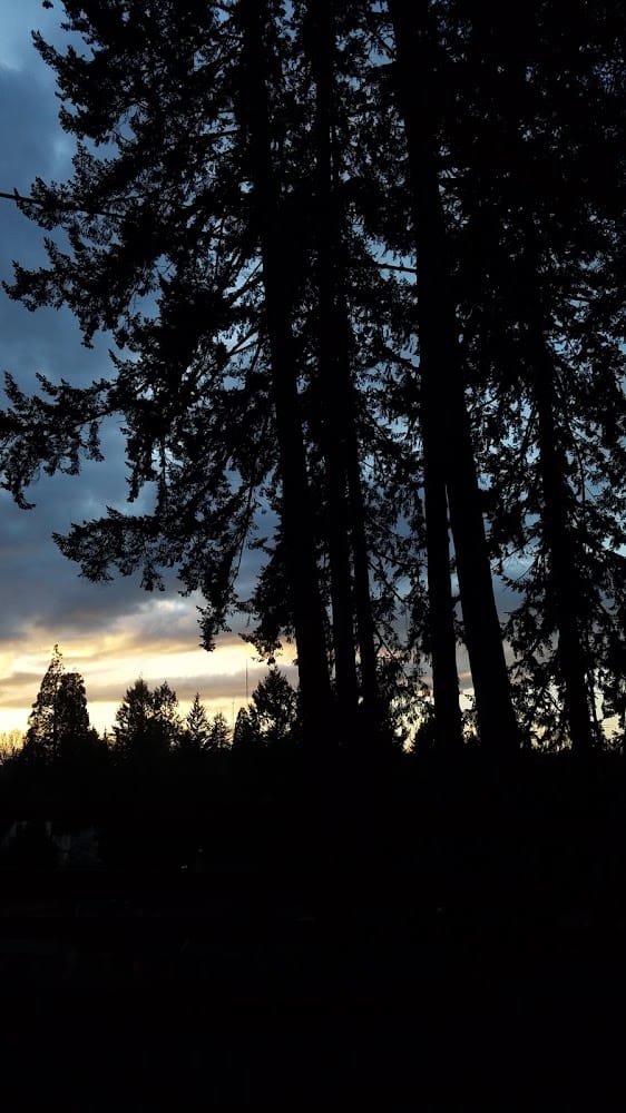 Survey Technologies Inc