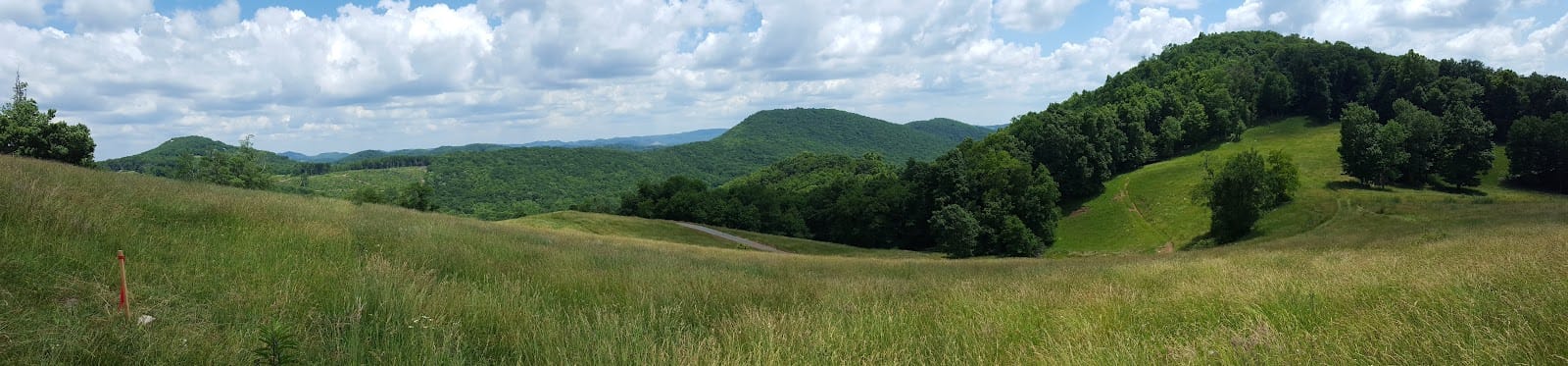 Thomas Herman Company