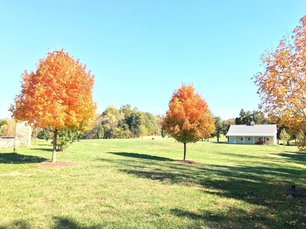 Jeff Warner Land Surveying Inc