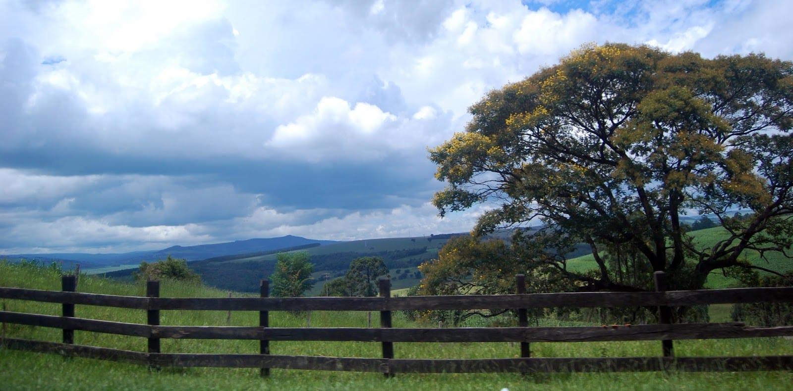 Genuine Mapping and Design