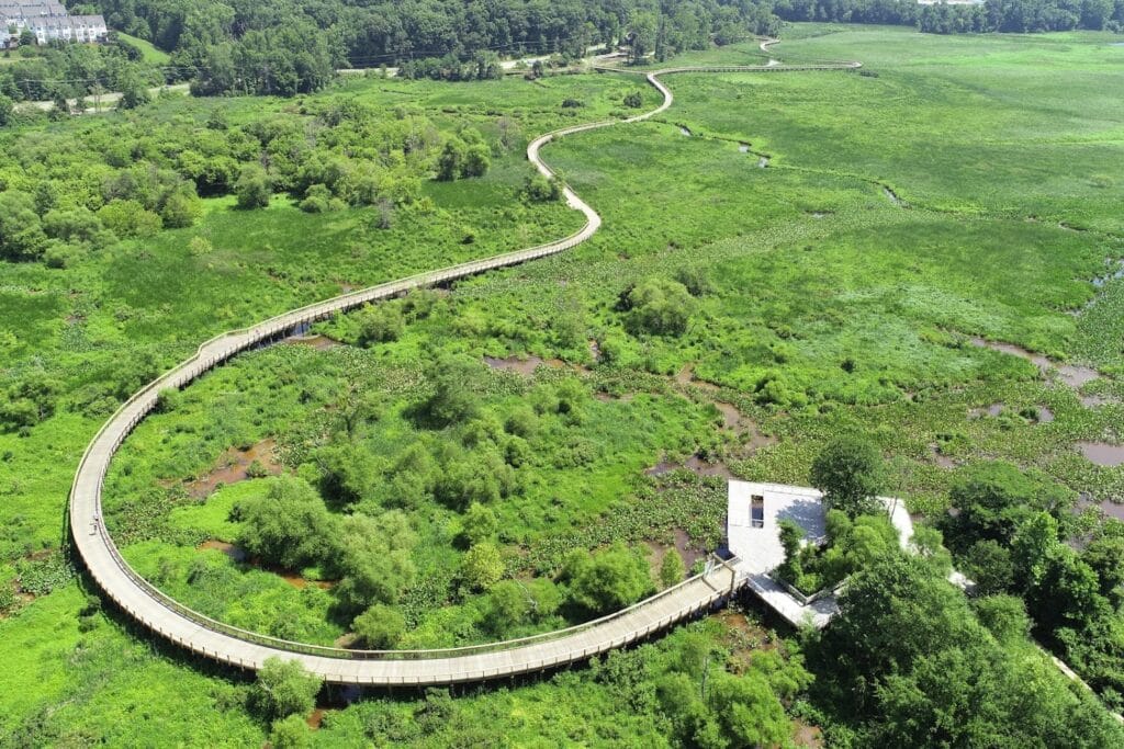 The Engineering Groupe