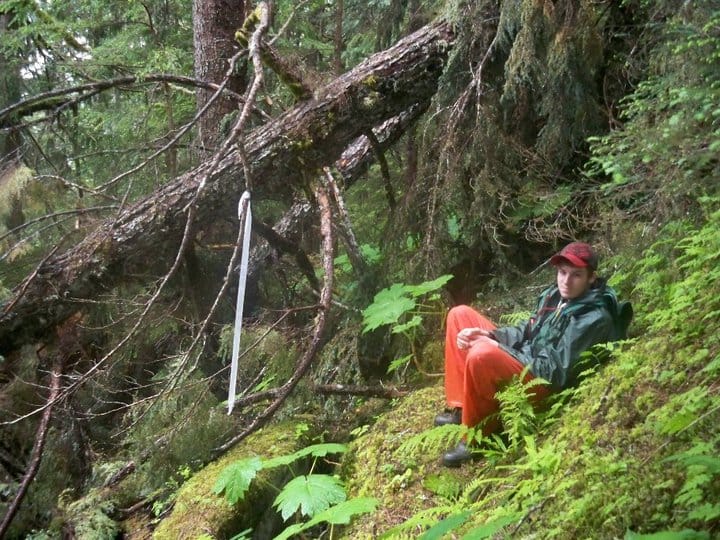 Murray and Sons Surveying LLC