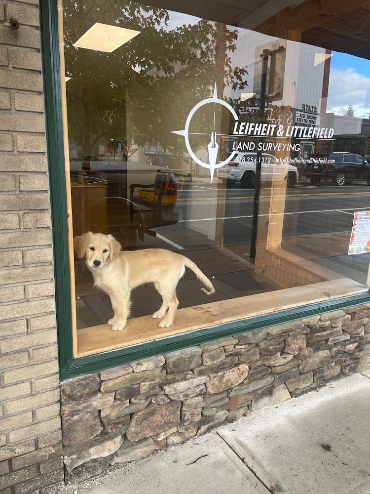 Leifheit and Littlefield Land Surveying