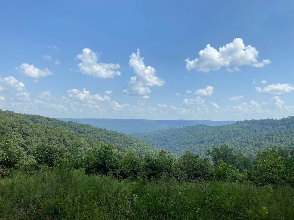 Whittenburg Land Surveying LLC