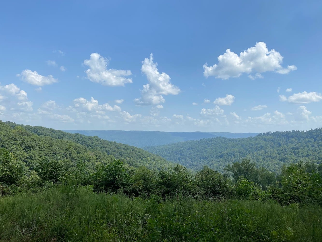 Whittenburg Land Surveying LLC