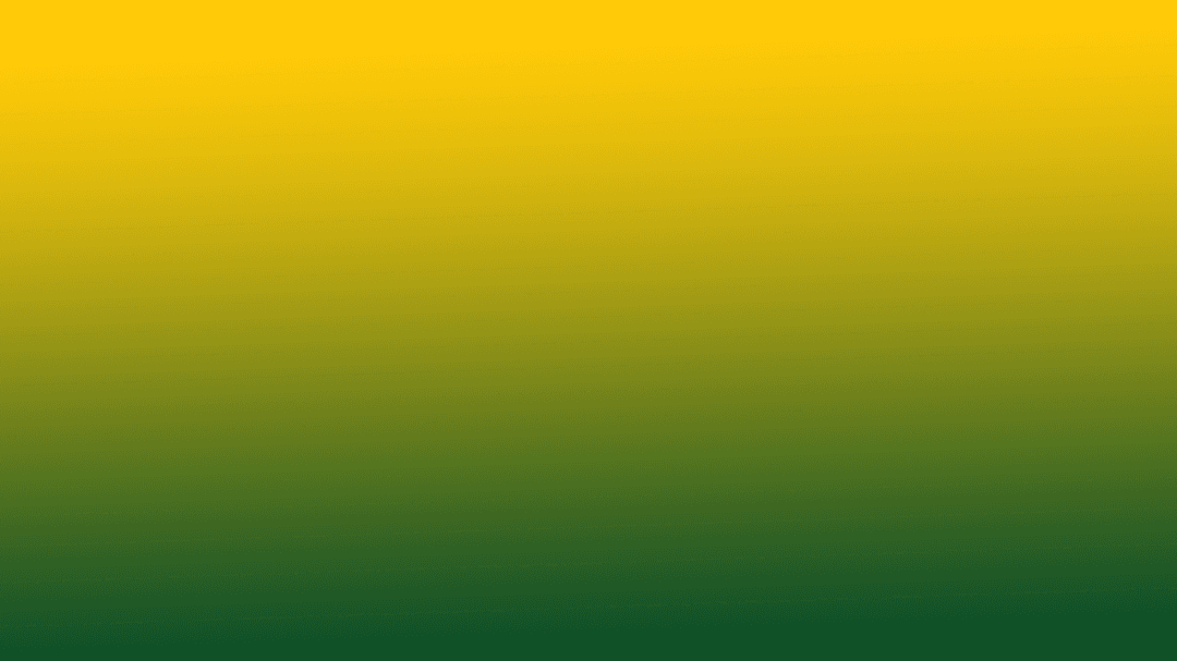 North Country Surveying Inc