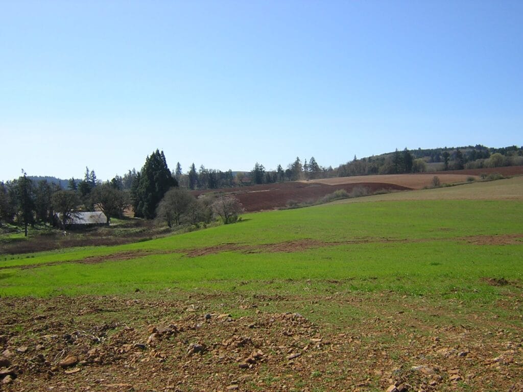Land Markers Surveying
