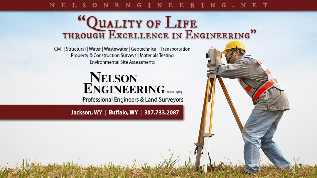 Nelson Engineering