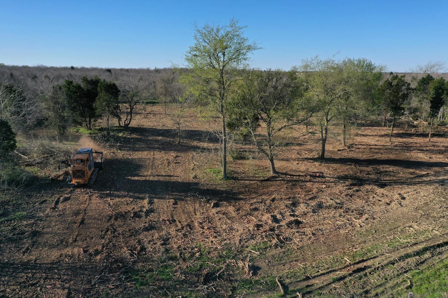 Pierce Land Clearing