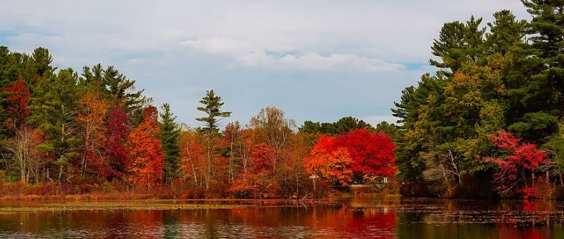 TMMHall Professional Services