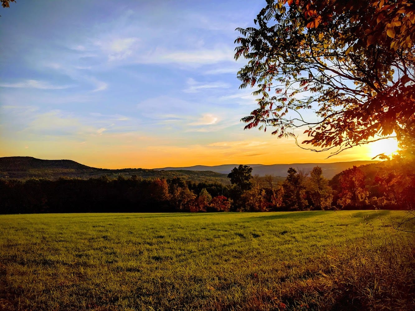 The Great Outdoors Land Surveying Company