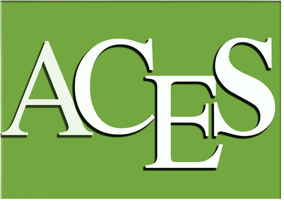 Arnold Consulting Engineering Services