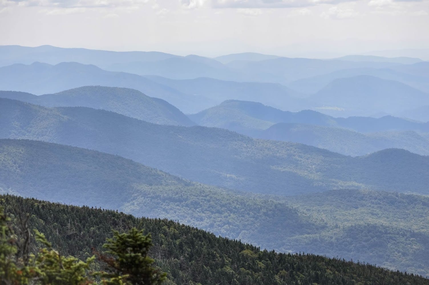 Panoramic Land Surveys