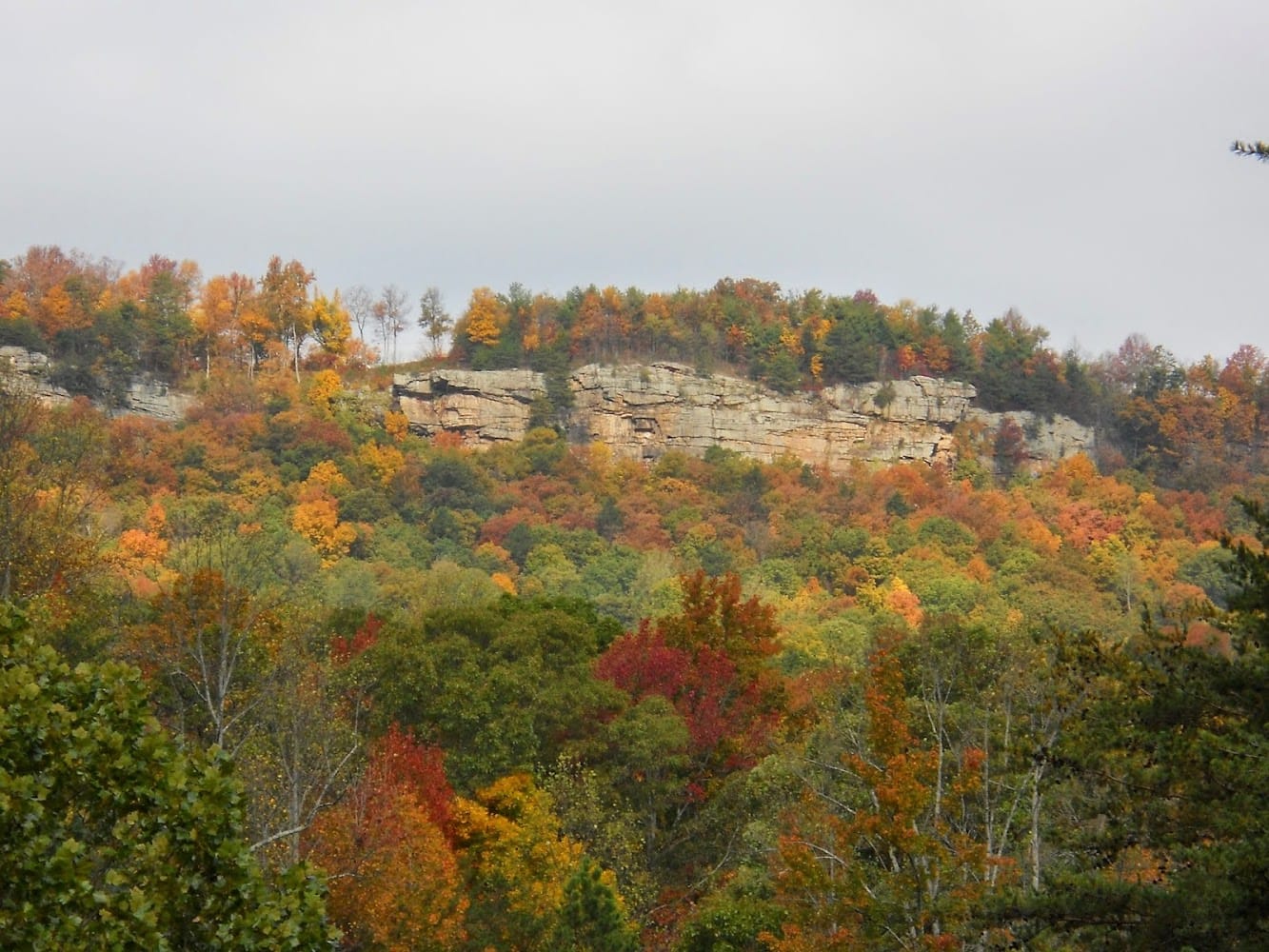 Horizon Surveying LLC