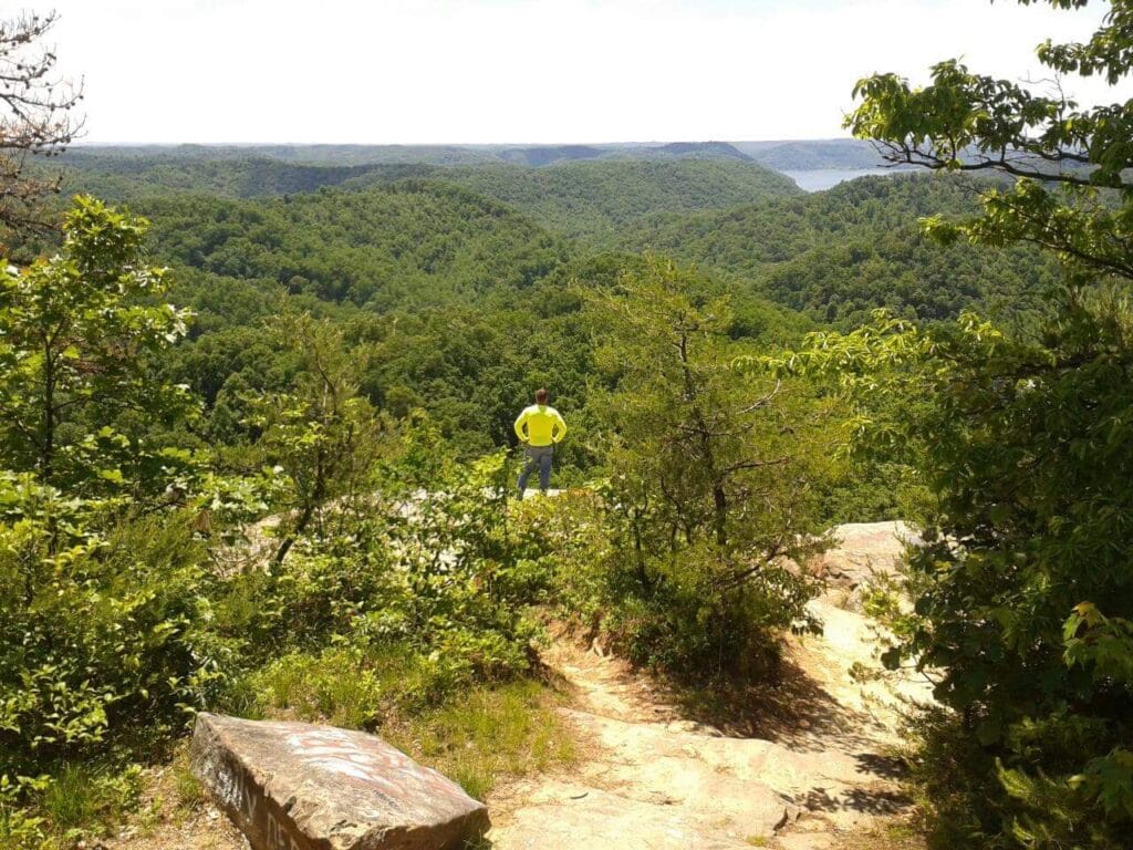 North Country Land Consulting