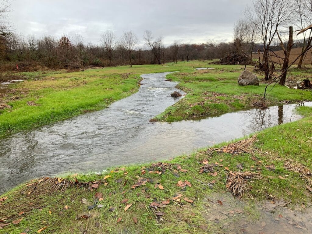 Wetland Studies and Solutions