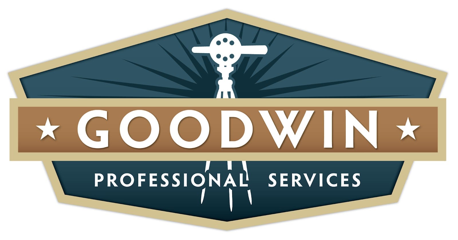 Goodwin Professional Services
