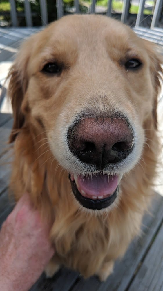 PJP Engineering & Land Surveying