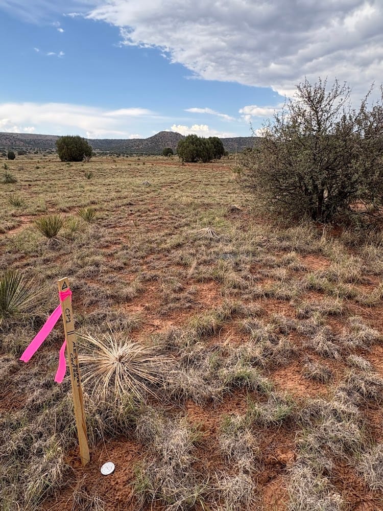 Mogollon Engineering and Surveying