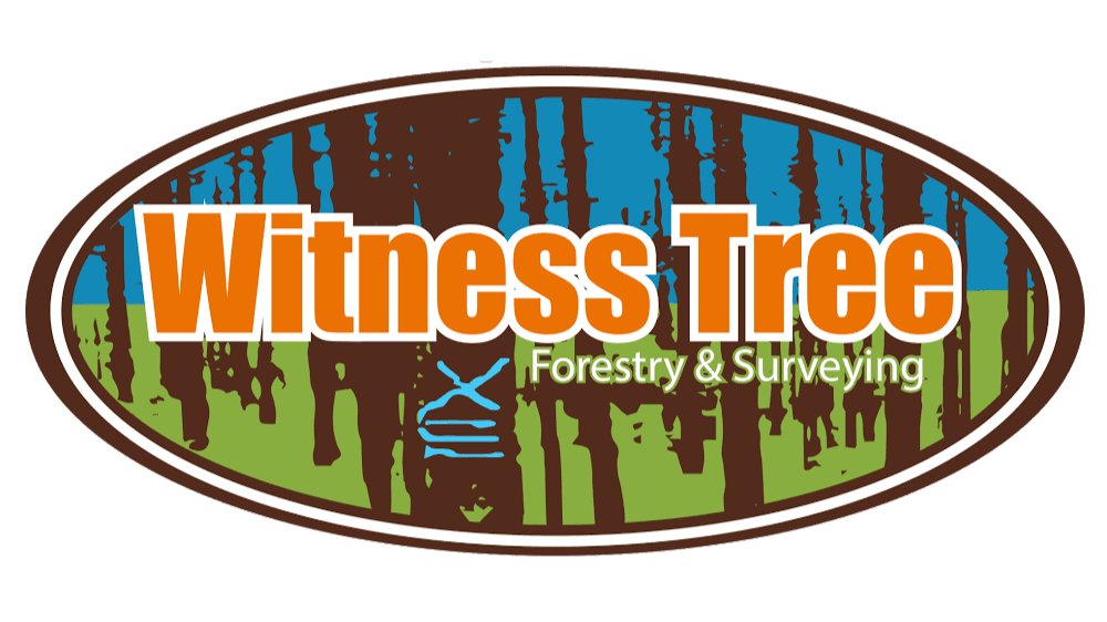 Witness Tree Surveying
