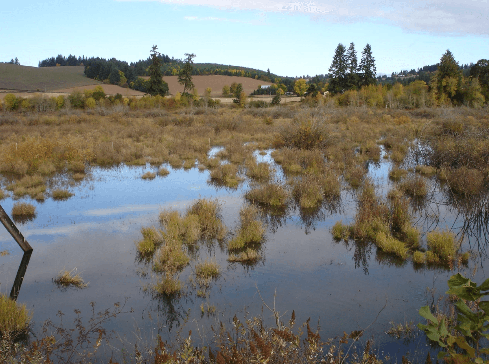 Assessment Associates Environmental Consulting