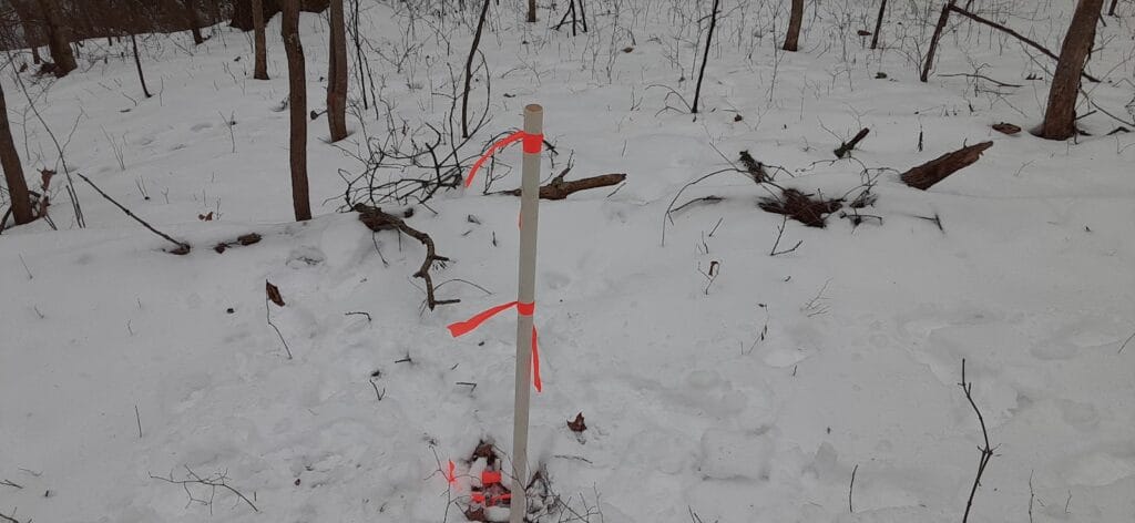 Spilker Sailing Surveying