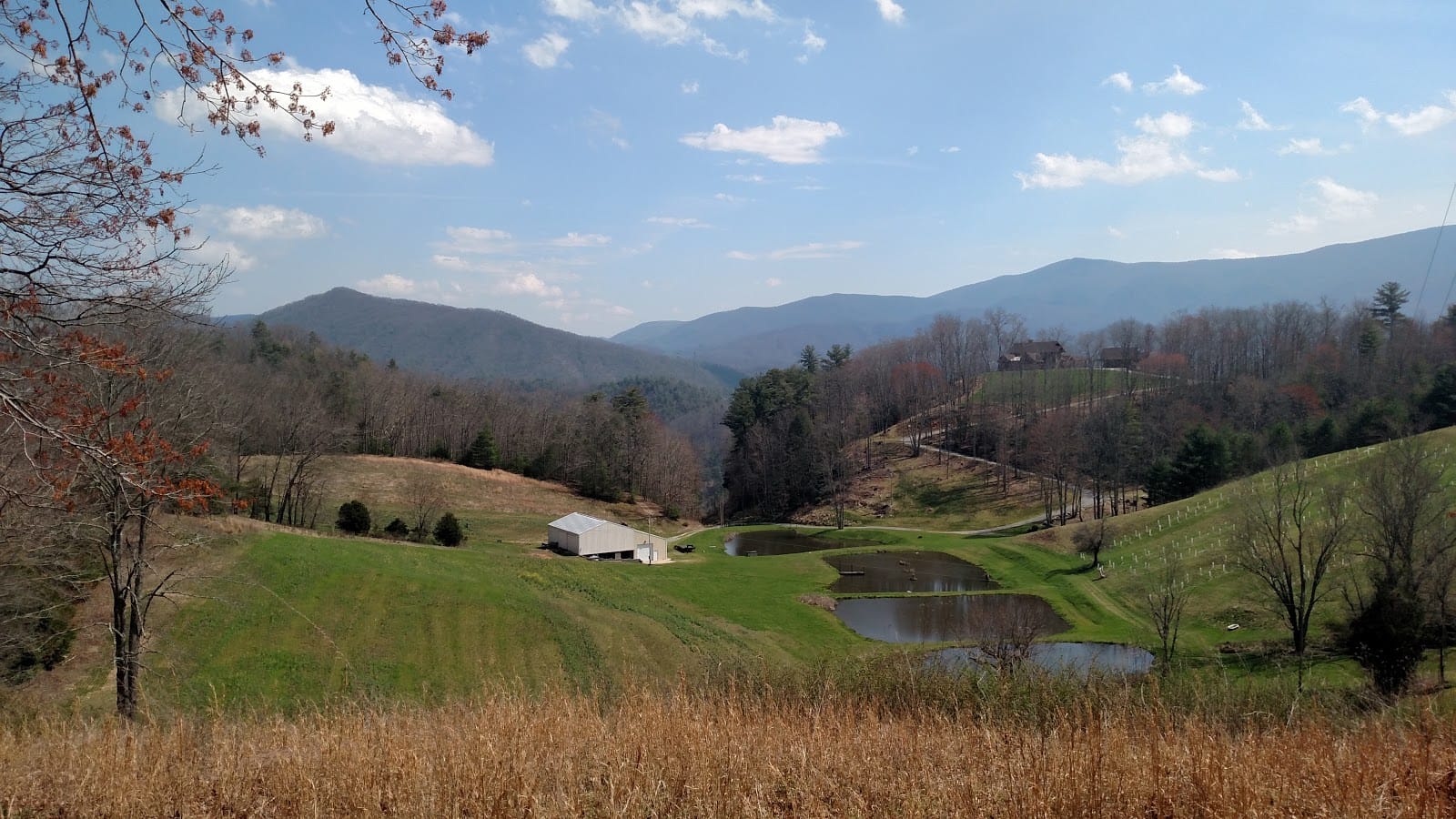 Treadway Land Surveying