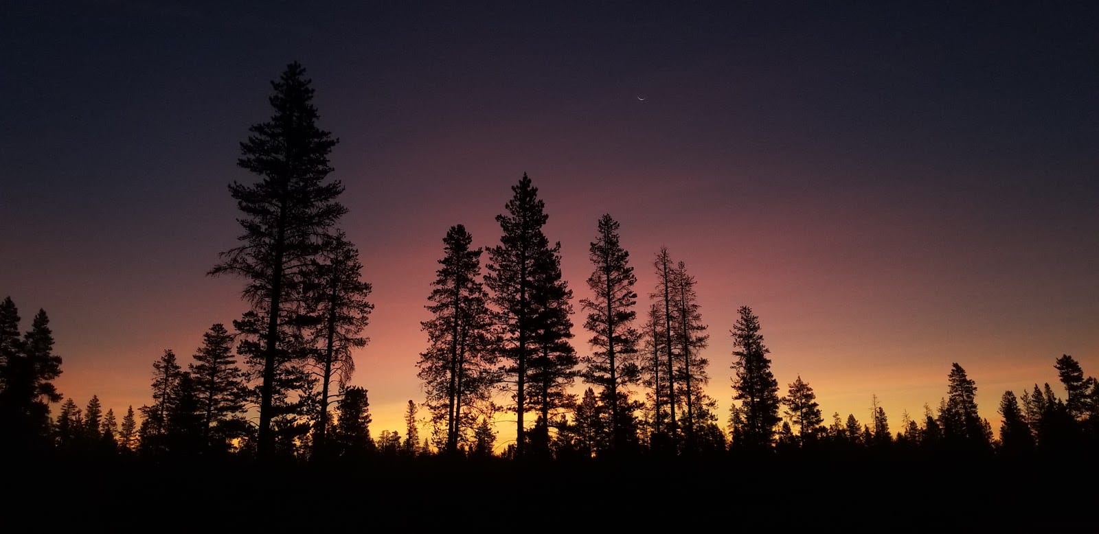 Banton Land Surveying LLC