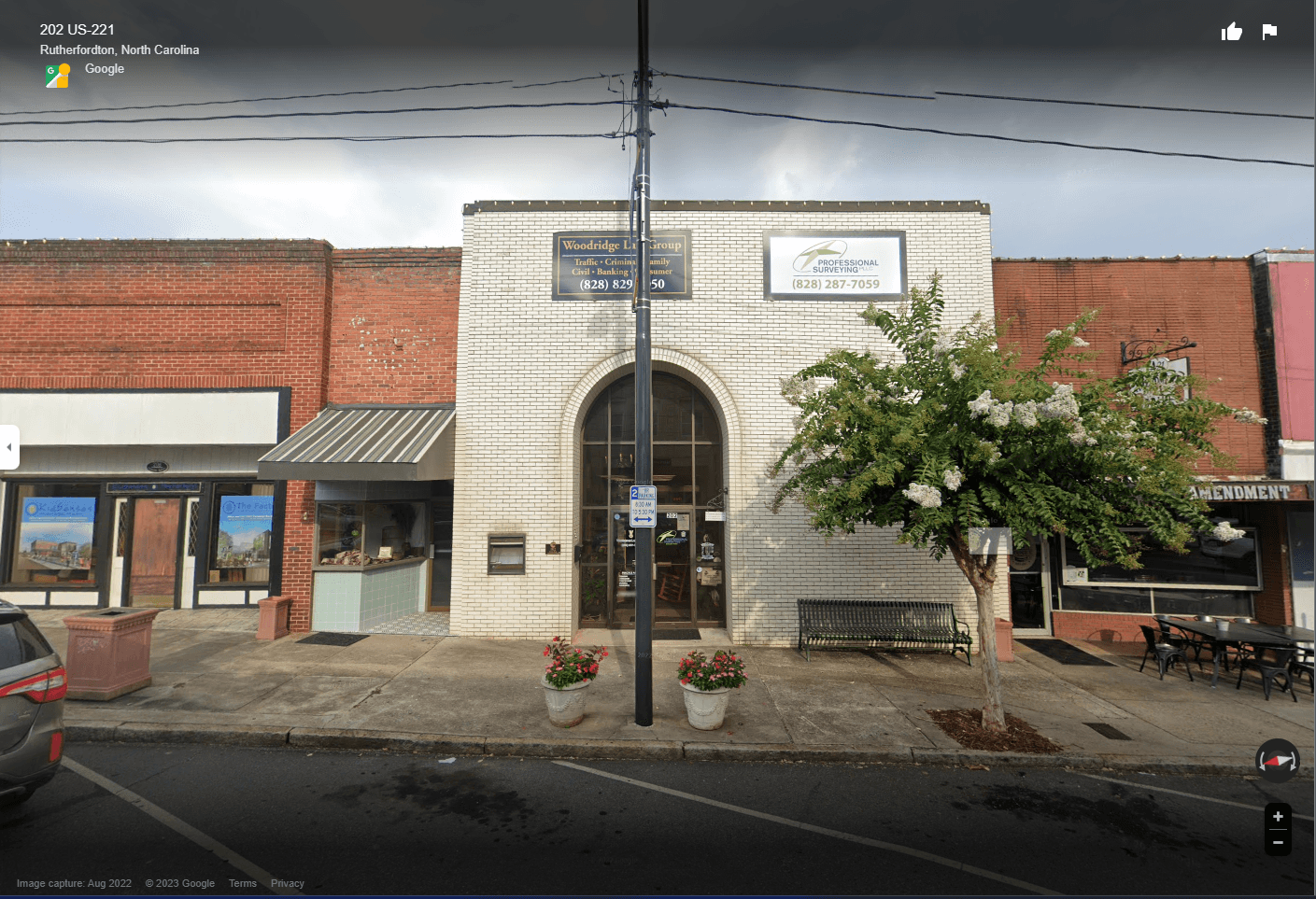 Professional Surveying