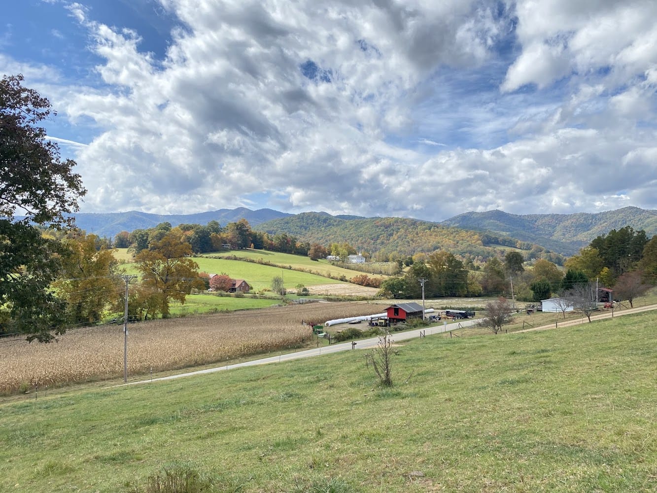 Aldridge Land Surveying