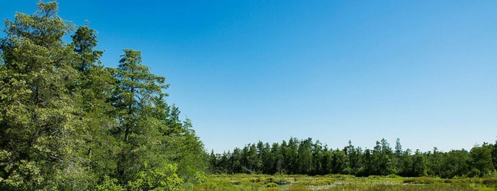 Site Civil Engineering