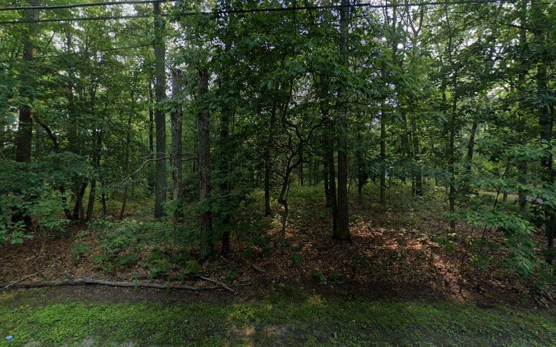 Albert N Floyd & Son