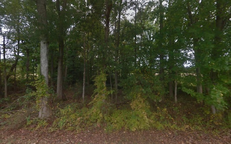 Andrews Land Surveying