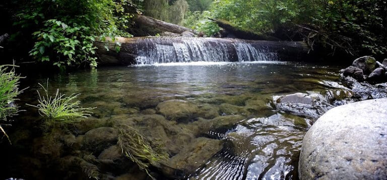 Artemis Consulting Services