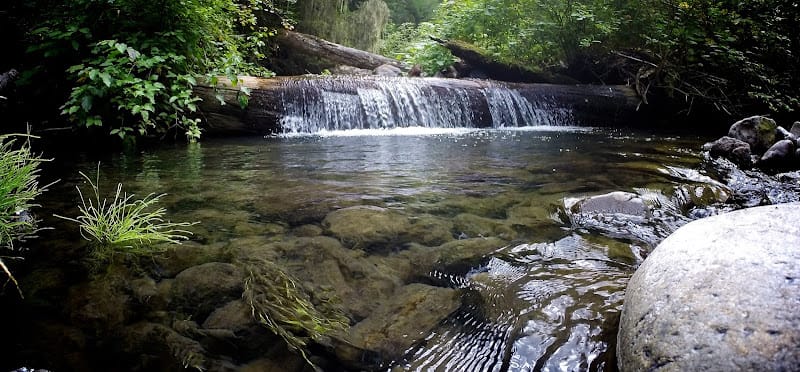 Artemis Consulting Services