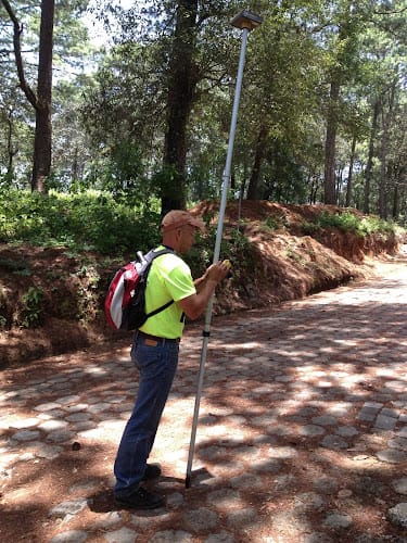 Benjamin Mark Walley & Associates