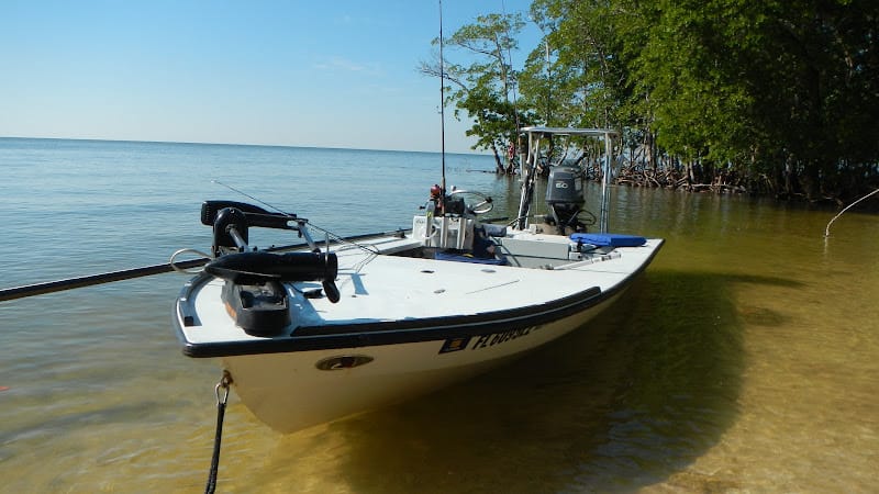 Captain Ariel & Associates