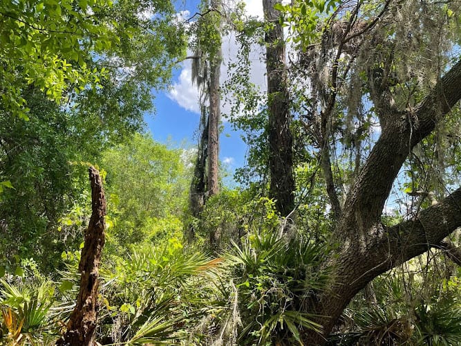 Carter and Leonardo Environmental Services