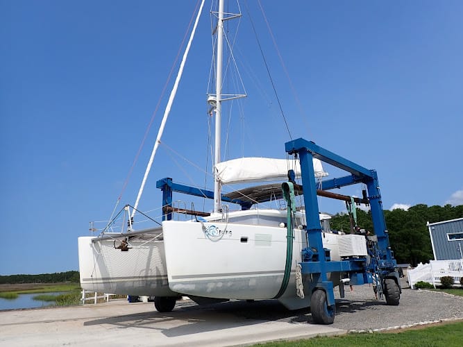 Colonial Marine Survey