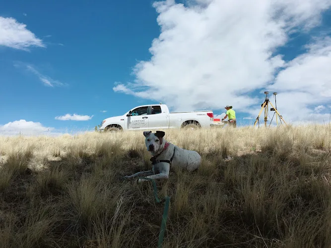 Compass Surveying & Mapping