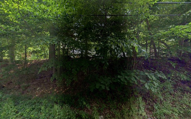 Datz Engineering & Surveying