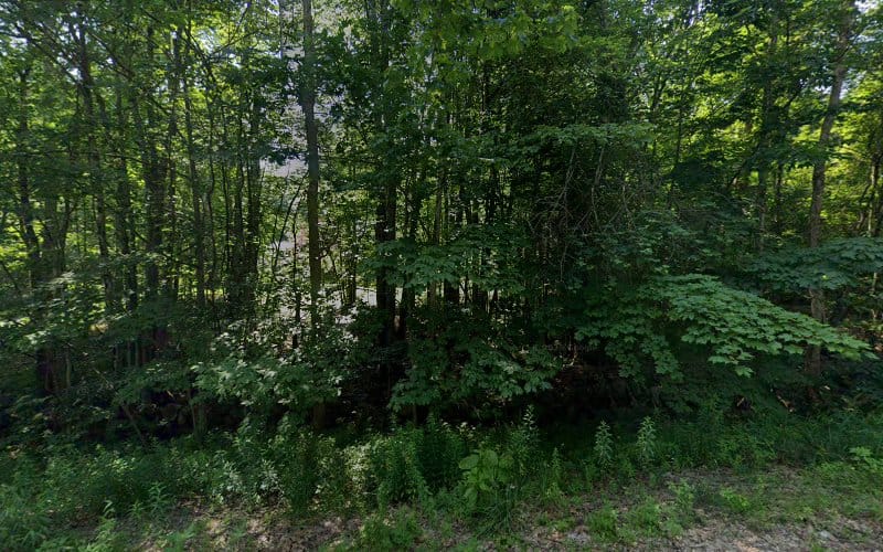 Dave Ohara & Associates